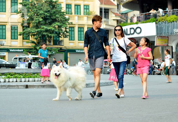 Bài 178: Nuôi động vật trong thành phố và những hệ lụy