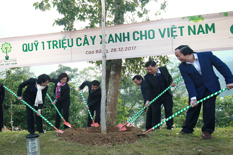 “Quỹ 1 triệu cây xanh cho Việt Nam” trồng 80.722 cây xanh tại Cao Bằng