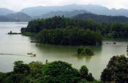 Bộ NN&PTNT "tuýt còi" đề nghị chuyển đổi 1.800 ha rừng đặc dụng của tỉnh Thái Nguyên