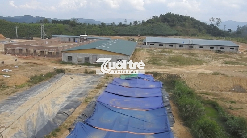 Trang trại chăn nuôi lợn của Cty TNHH Nam Huế khiến người dân khốn khổ