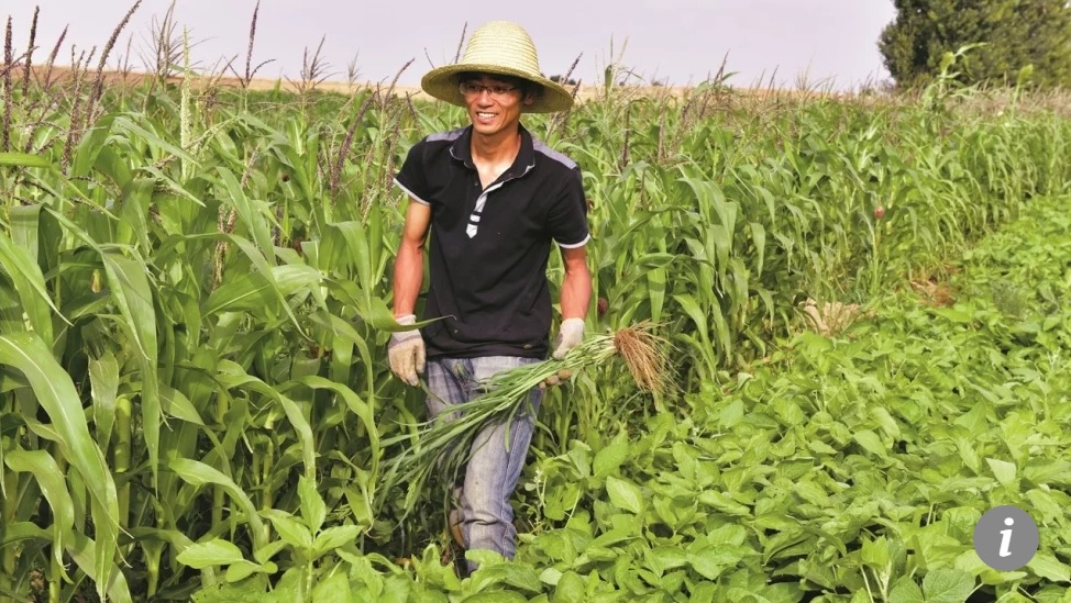 Anh Ma Yanwei tại trang trại ở Alashan. Ảnh: SCMP
