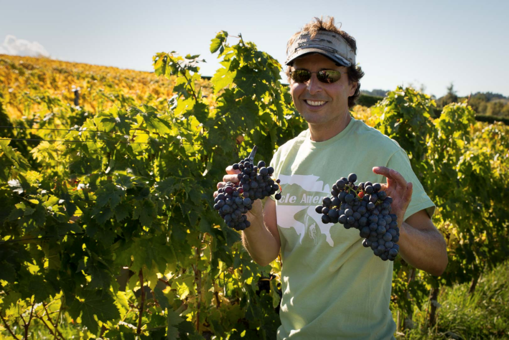 Vườn nho của Greenhough Vineyard - nơi cho ra đời những dòng sản phẩm rượu vang hảo hạng số 1 New Zealand.