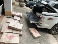 Bắc Giang: Trên 450kg cánh gà lậu bị bắt trên đường tới quán nhậu
