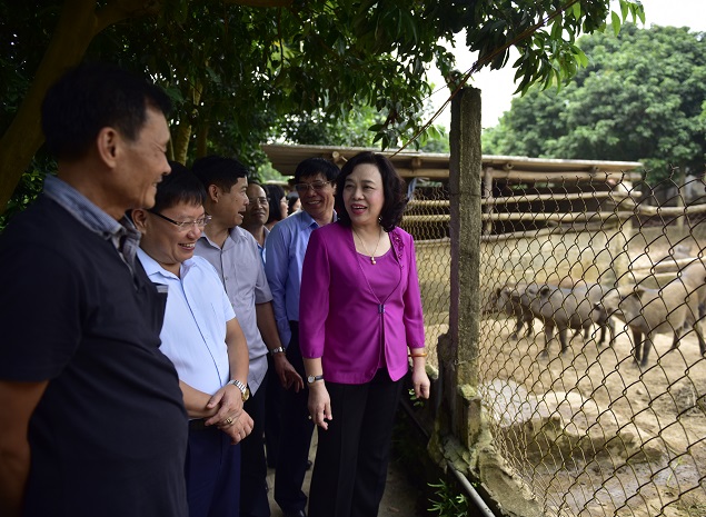Phó Bí thư Thường trực Thành ủy Hà Nội Ngô Thị Thanh Hằng thăm mô hình phát triển kinh tế tại xã Minh Phú, huyện Sóc Sơn