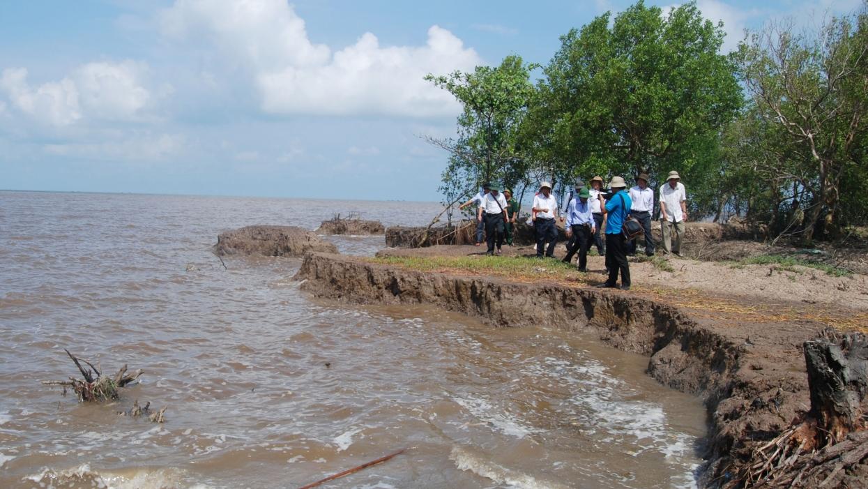 Nhiều giải pháp phòng chống sạt lở bờ sông, bờ biển vùng Đồng bằng sông Cửu Long