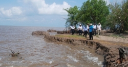 Nhiều giải pháp phòng chống sạt lở bờ sông, bờ biển vùng Đồng bằng sông Cửu Long