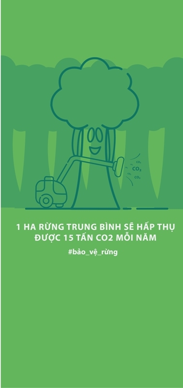 Triển lãm ảnh về ô nhiễm không khí tại trạm xe buýt Hàm Nghi, TP HCM