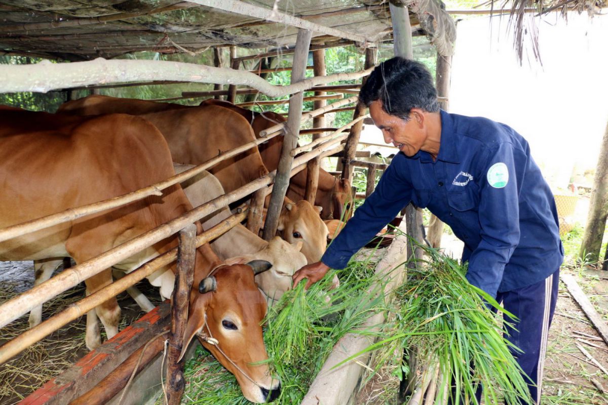 Hà Nội: 8 quận, huyện không còn hộ nghèo