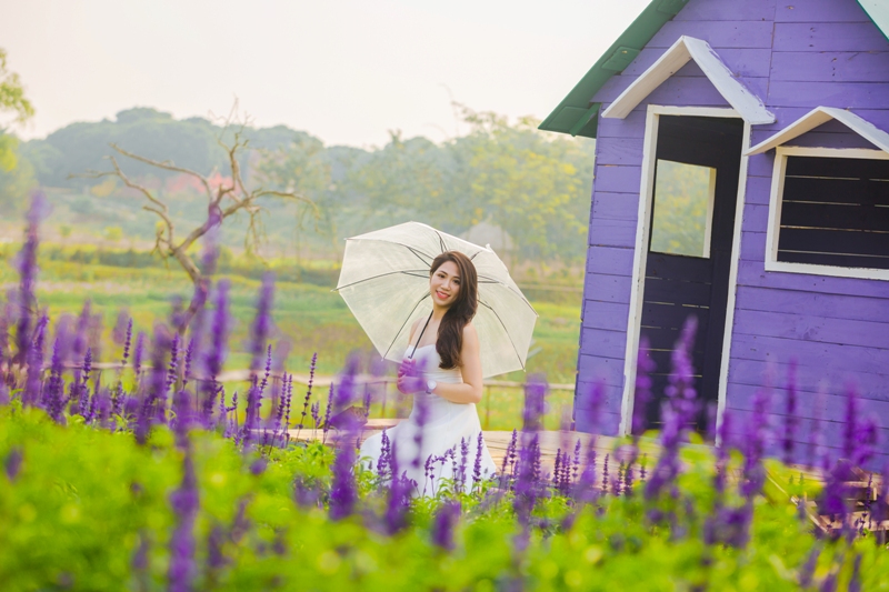 Cánh đồng hoa này là địa điểm lý tưởng để các bạn trẻ