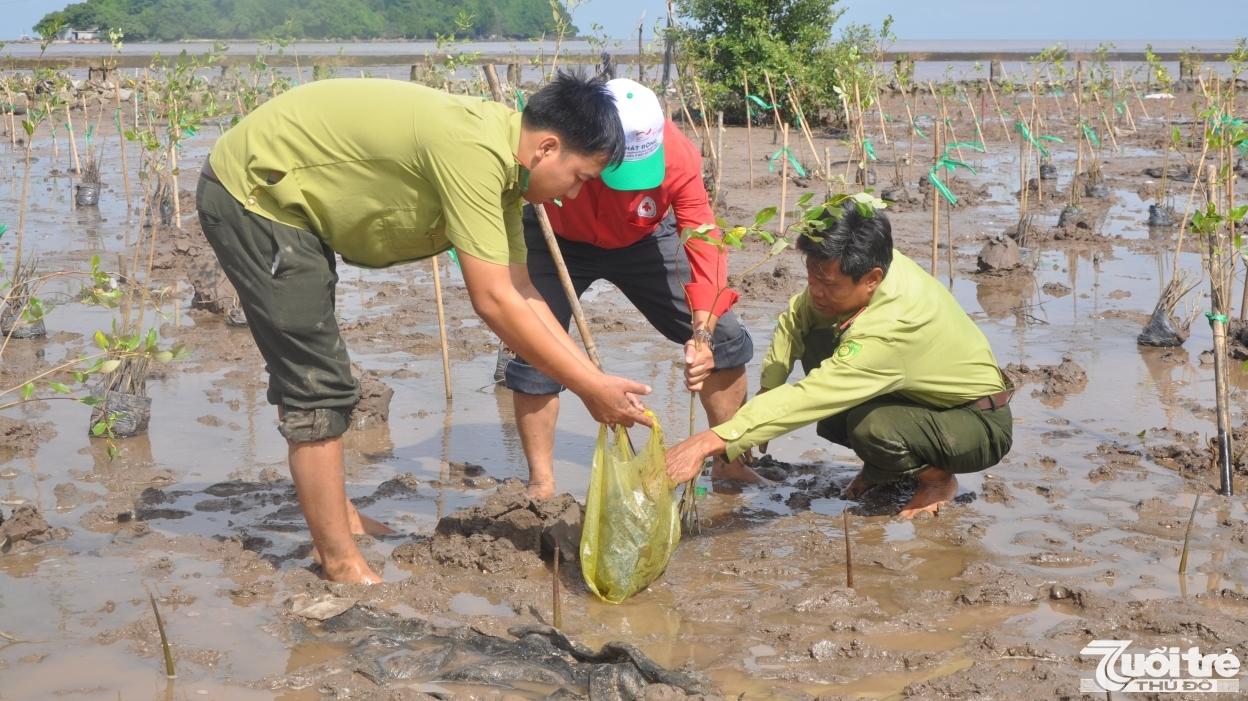 Việt Nam nỗ lực hành động nhằm ứng phó với biến đổi khí hậu