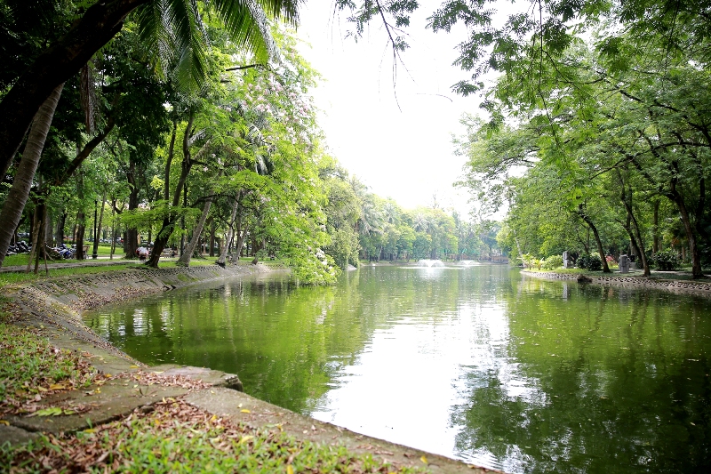 Lượng cây xanh bao phủ của thành phố Hà Nội đã đạt mức 9,5 m2/người