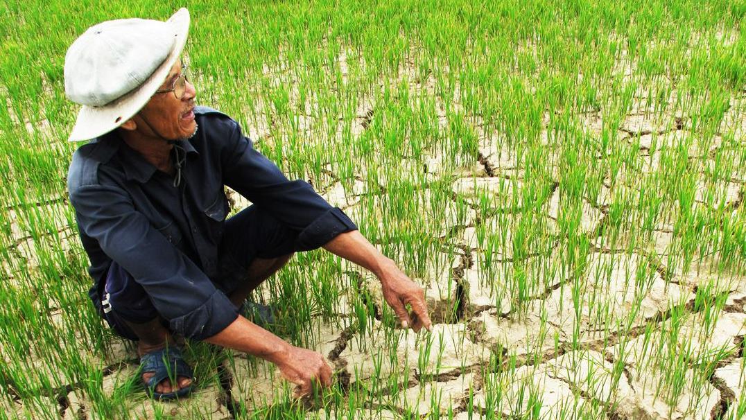 Tình trạng xâm nhập mặn tại vùng Đồng bằng sông Cửu Long ngày càng nghiêm trọng, gây ảnh hưởng lớn đến hoạt động sản xuất nông nghiệp của bà con nhân dân