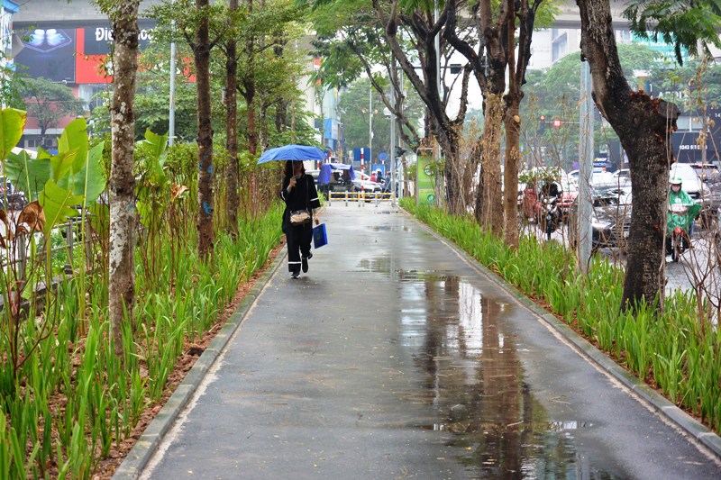 Hà Nội: Nhiều tuyến phố đẹp như tranh sau cải tạo, chỉnh trang