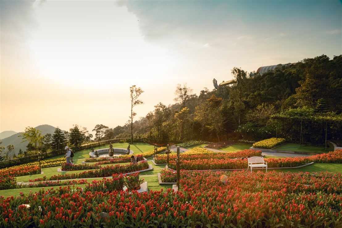 1,5 triệu bông tulip và hàng triệu đóa hồng, Tết này chỉ cần đi Ba Na Hills là đủ thấy 