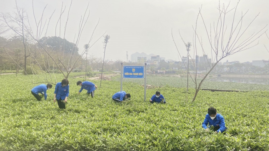 Tuổi trẻ Thanh Trì đồng loạt ra quân ngày cao điểm chung tay xây dựng Nông thôn mới nâng cao năm 2022