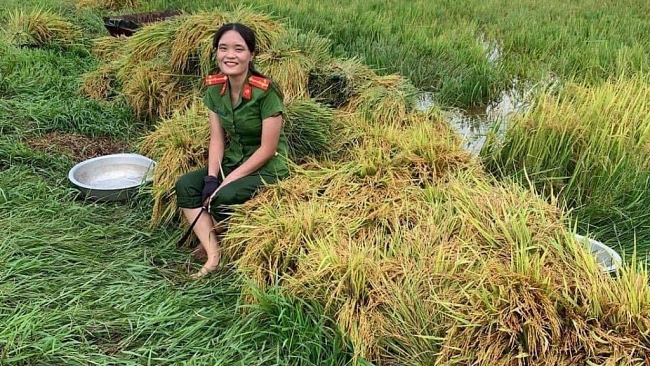 Hồng Lĩnh (Hà Tĩnh): Chiến sĩ công an gặt lúa “chạy bão” giúp dân