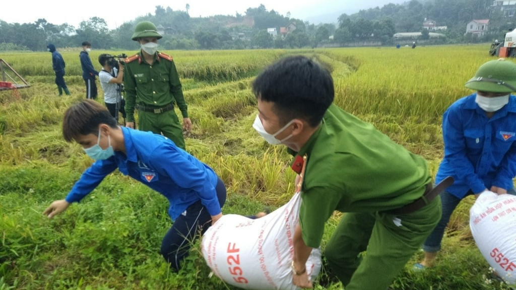 Dọn dẹp phố phường, trường học đón “trạng thái bình thường mới”