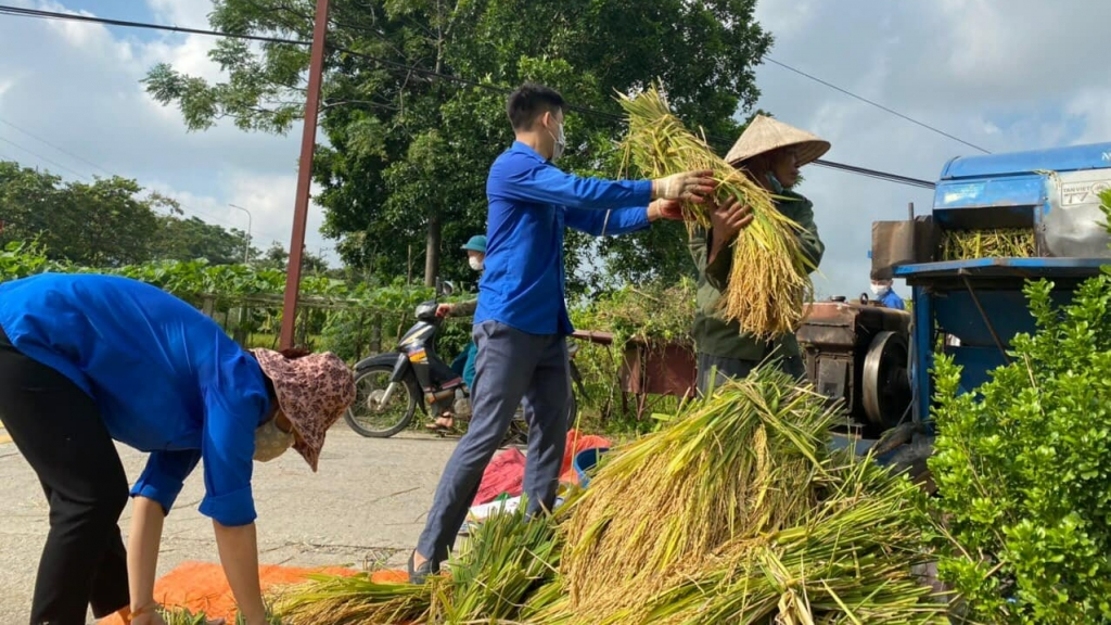 Dọn dẹp phố phường, trường học đón “trạng thái bình thường mới”