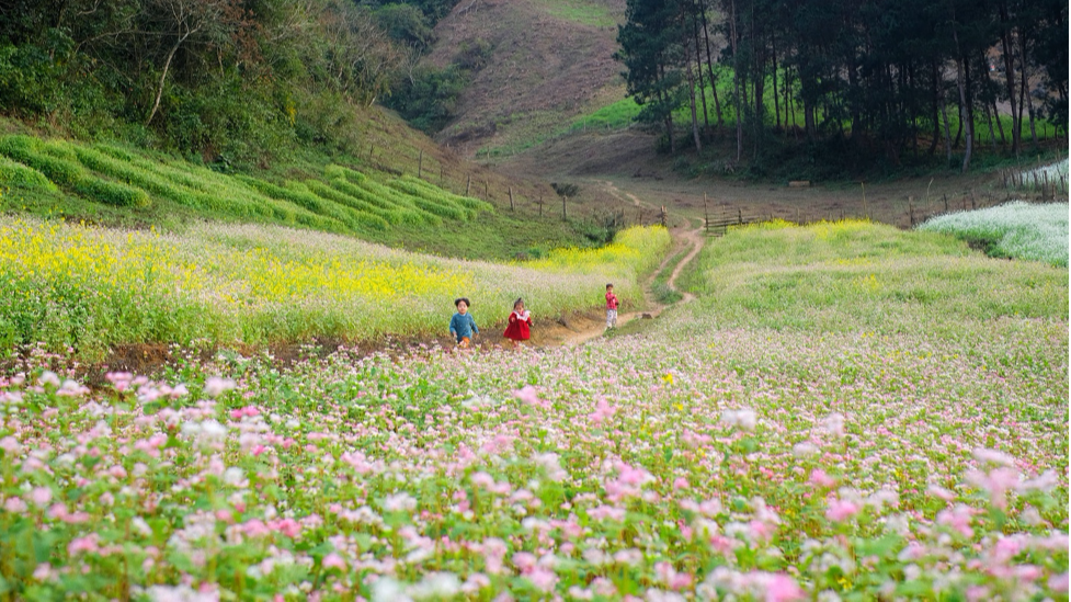 Hậu giãn cách: Người trẻ 