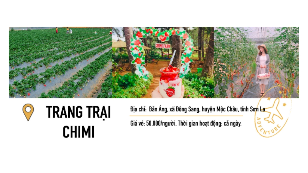 Hậu giãn cách: Người trẻ 