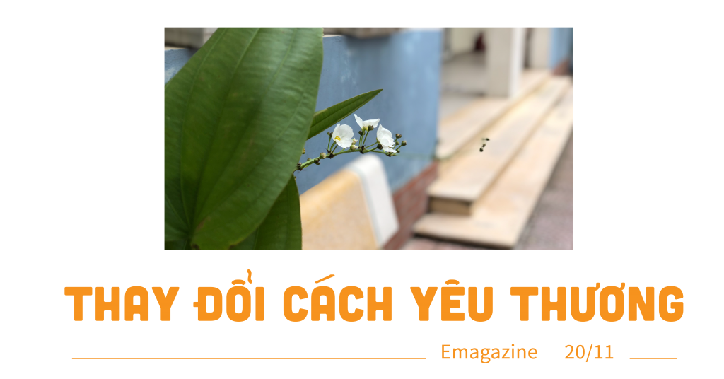 Ánh nắng vẫn nhuộm sân trường ngày Nhà giáo Việt Nam