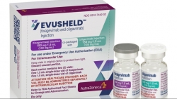 AstraZeneca cung ứng cho Chính phủ Hoa Kỳ thêm 1 triệu liều hỗn hợp kháng thể