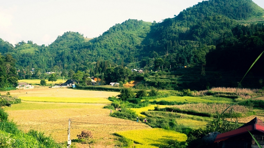 12 cung hoàng đạo sẽ thích hợp du lịch ở đâu mùa hè này?