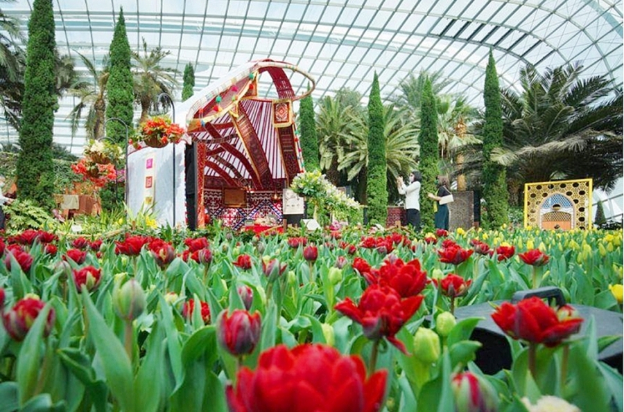 Lễ hội trưng bày hoa tulip thường niên tại Gardens by the Bay đã trở lại sau một năm