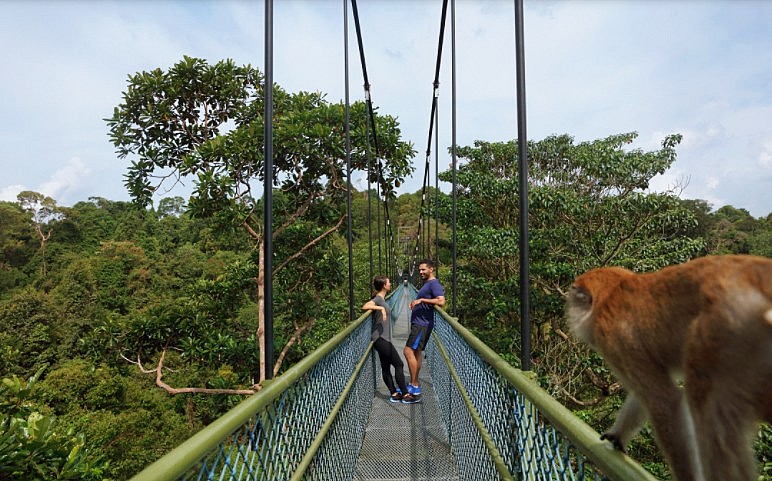 Công viên MacRitchie Nature Trail & Reservoir Park là sân chơi dành cho những người yêu thích hoạt động ngoài trời, với các đường mòn đi bộ tự nhiên MacRitchie Trails và cầu treo TreeTop Walk, cho phép bạn tận hưởng không gian xanh tại khu bảo tồn thiên nhiên Central Catchment. Những người đam mê thể thao dưới nước cũng có thể tham gia chèo thuyền kayak hoặc ca nô tại hồ chứa nước MacRitchie Reservoir lớn nhất Singapore. 