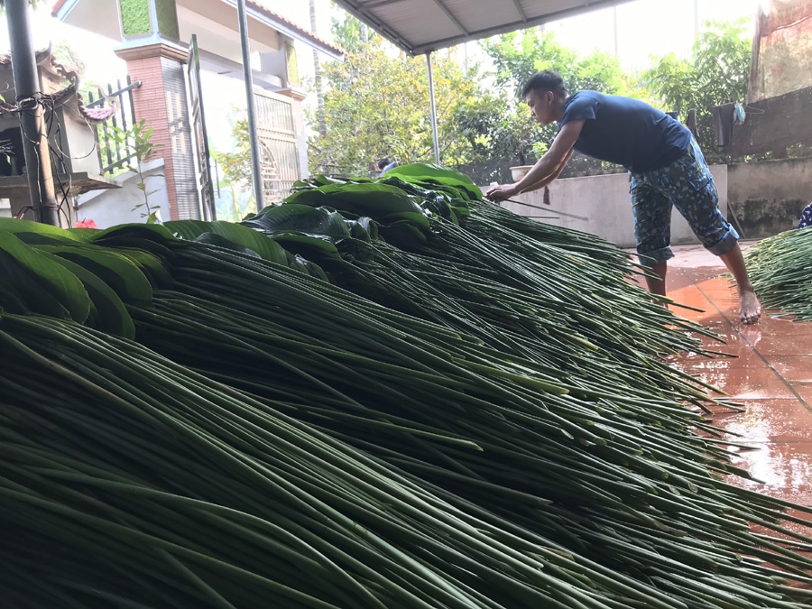 Gìn giữ “linh hồn” lá dong Tràng Cát