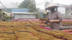 Làng hương trăm năm Quảng Phú Cầu nhuộm màu hồng đón Tết