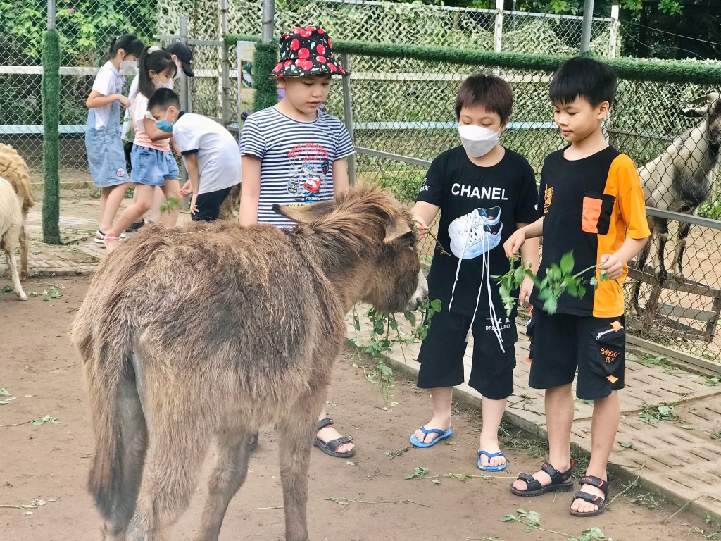 Giáo dục kỹ năng sống cho học sinh thông qua hoạt động trải nghiệm