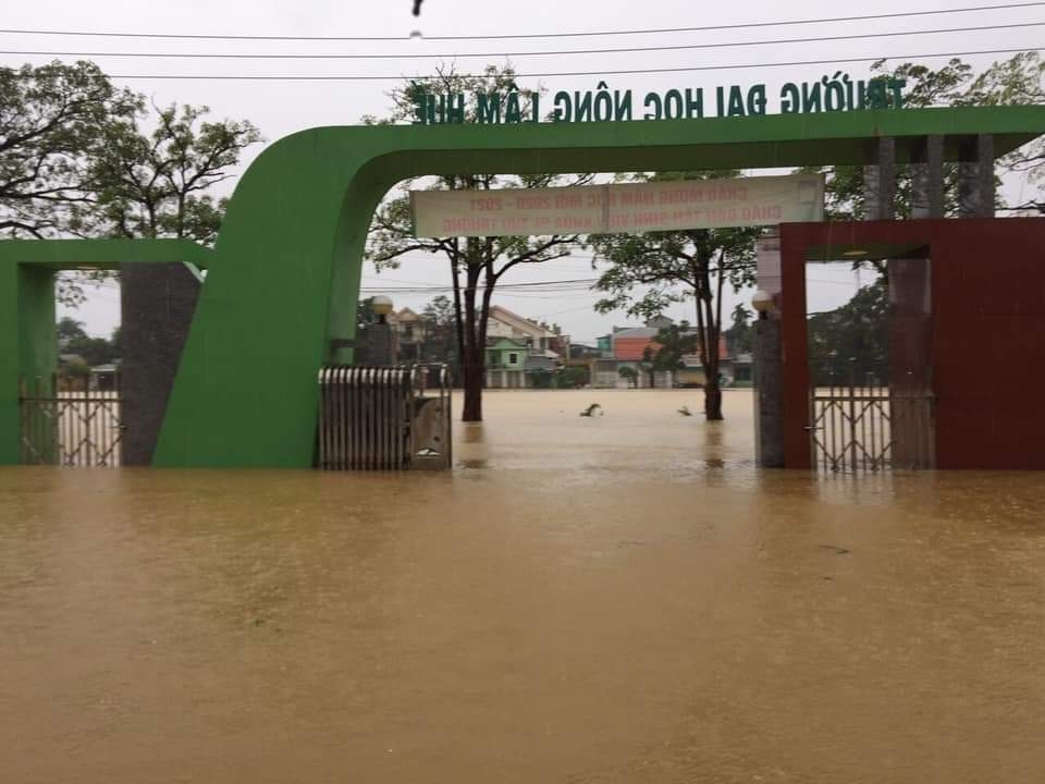 Sinh viên Đại học Huế và Đại học Đà Nẵng lùi thời gian nhập học vì mưa lũ