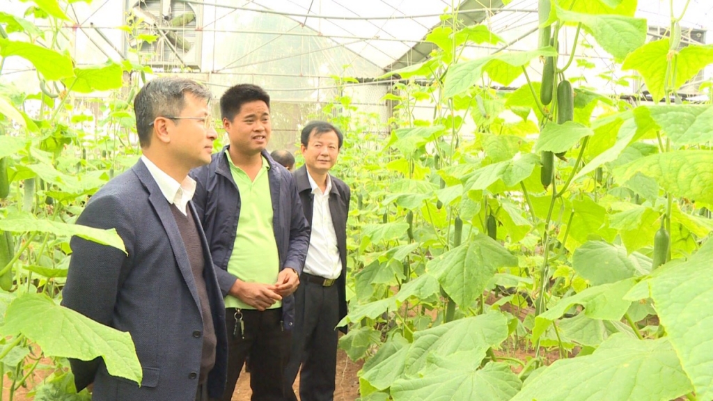 Chàng trai trẻ Nguyễn Phúc Bách (giữa) giới thiệu về mô hình nông nghiệp công nghệ cao
