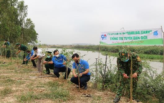 Đoàn viên thanh niên tham gia trồng tre dọc tuyến biên giới thực hiện Công trình Vành Đai xanh