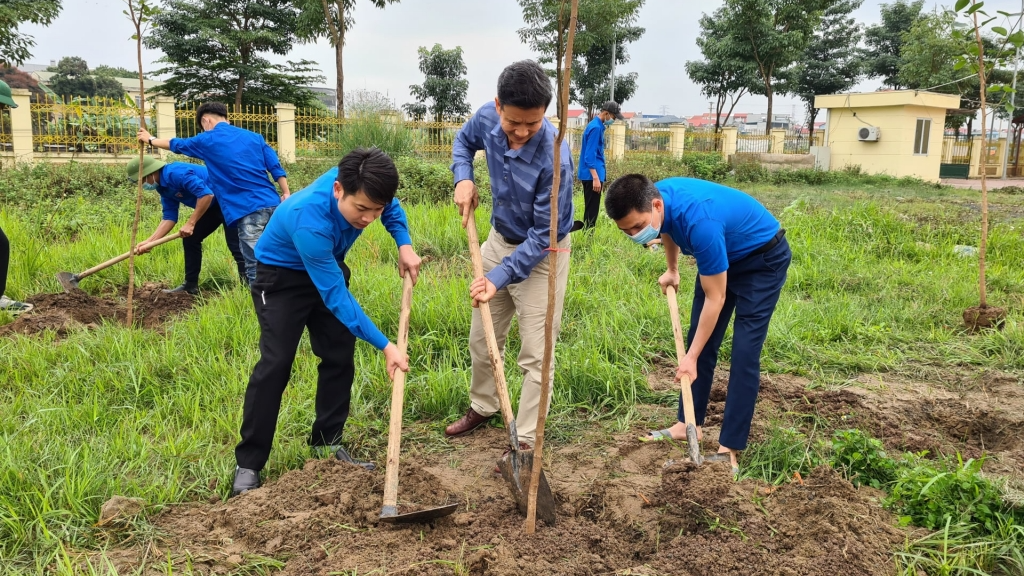 Tuổi trẻ huyện Quốc Oai ra quân trồng cây xanh 