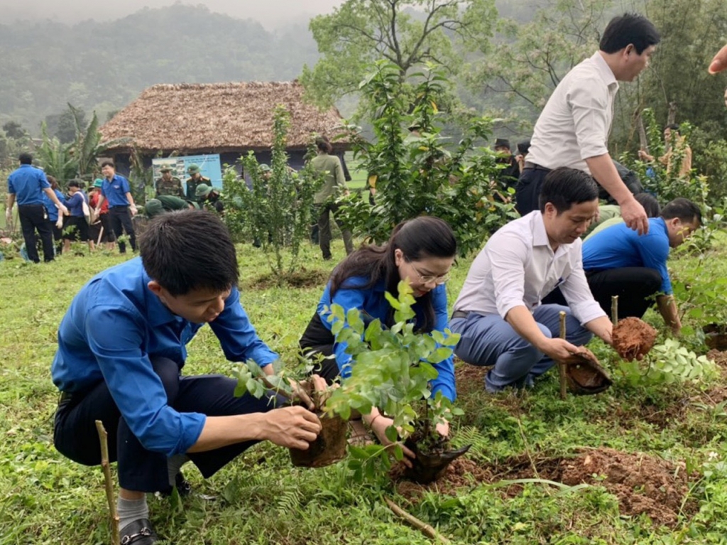 Ra quân trồng cây xanh 