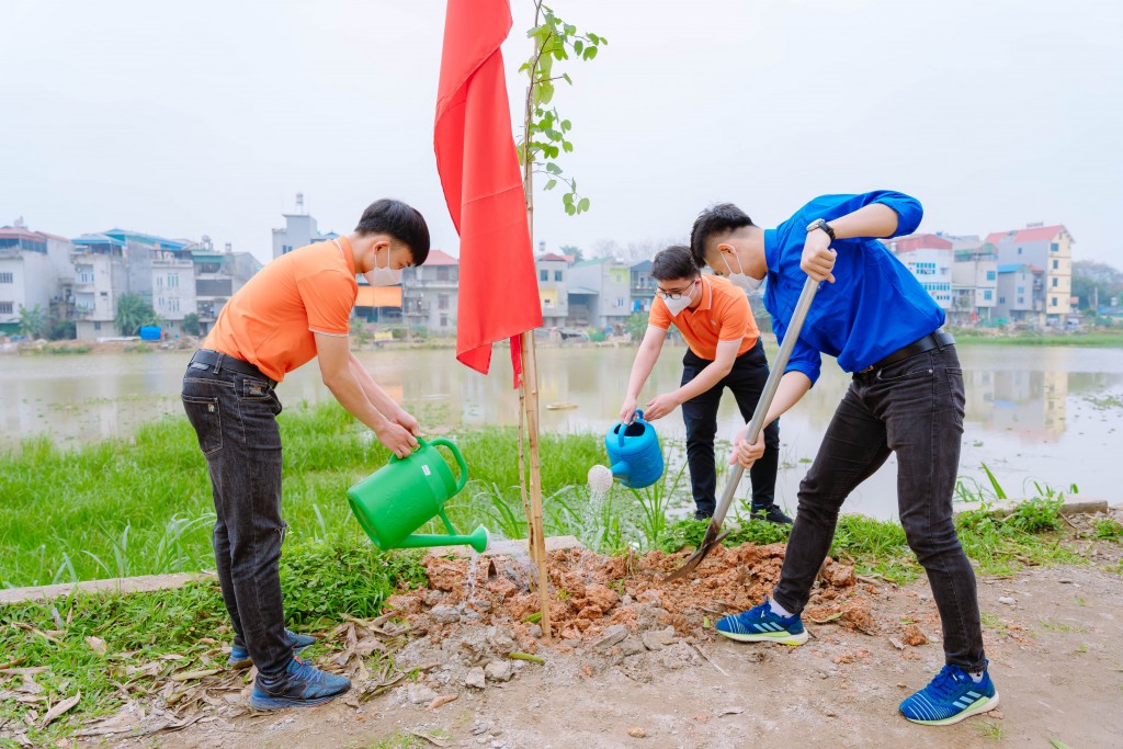 Các bạn trẻ tham gia trồng cây xanh 