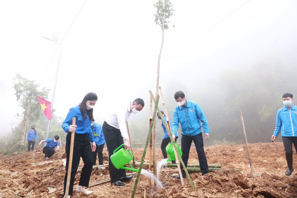Các vị đại biểu tham gia trồng cây xanh 