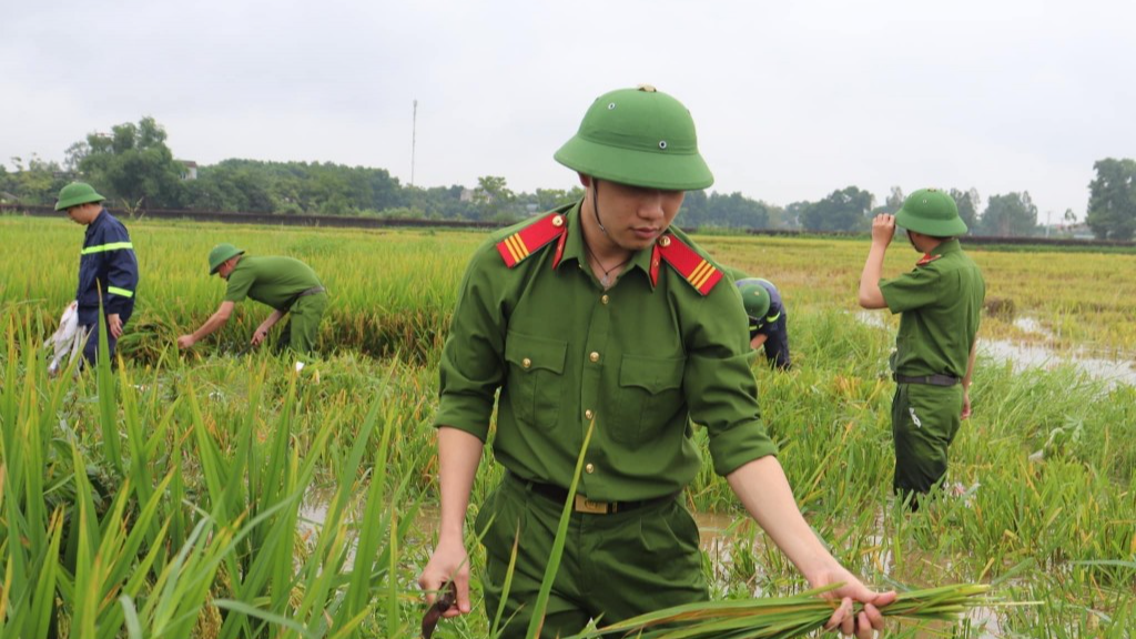 Hình ảnh chiến sĩ công an lội ruộng gặp lúa giúp dân đăng tải trên fanpage Thành đoàn Hà Nội 