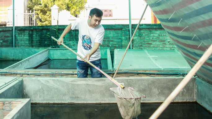 Bạn trẻ Hoàng Anh với mô hình nuôi cà cuống 