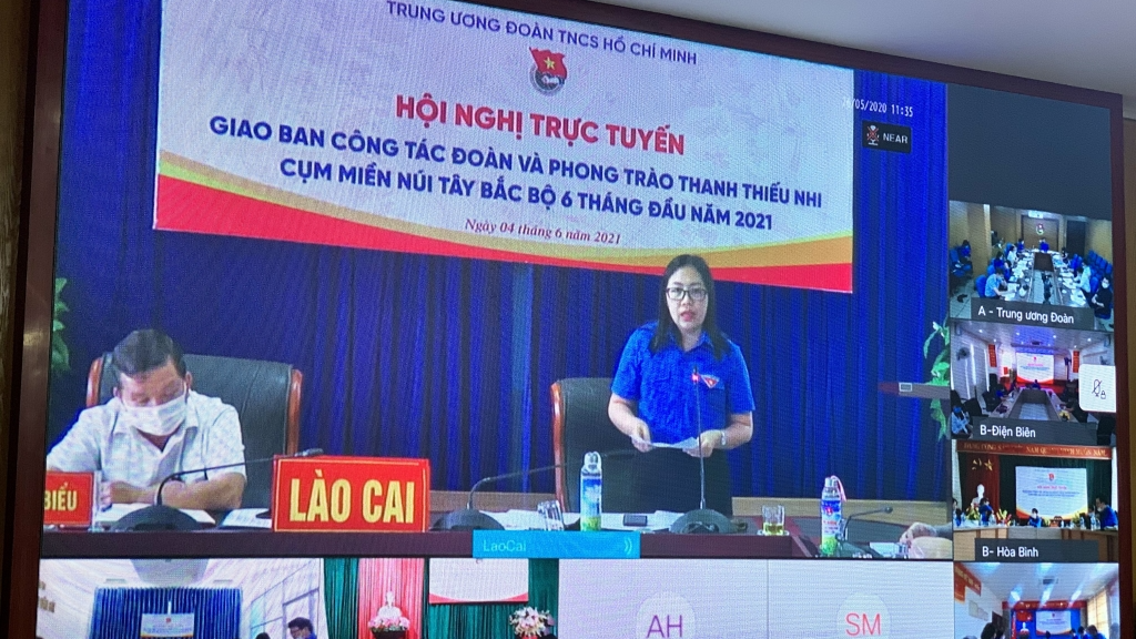 Hội nghị tổ chức theo hình thức trực tuyến 