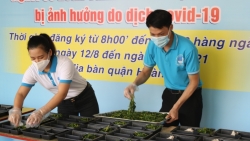 Hoàng Mai: "Bếp xanh thanh niên" tặng 600 suất cơm mỗi ngày