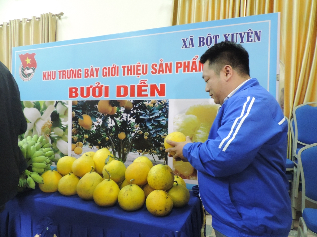 Chương trình OCOP - “Lực đẩy” giúp thanh niên Thủ đô sẵn sàng khởi nghiệp