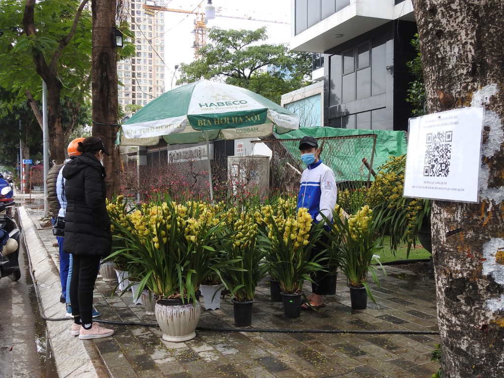 Khách hàng được yêu cầu quét mã QR khi mua hoa, cây cảnh tại đường Lạc Long Quân