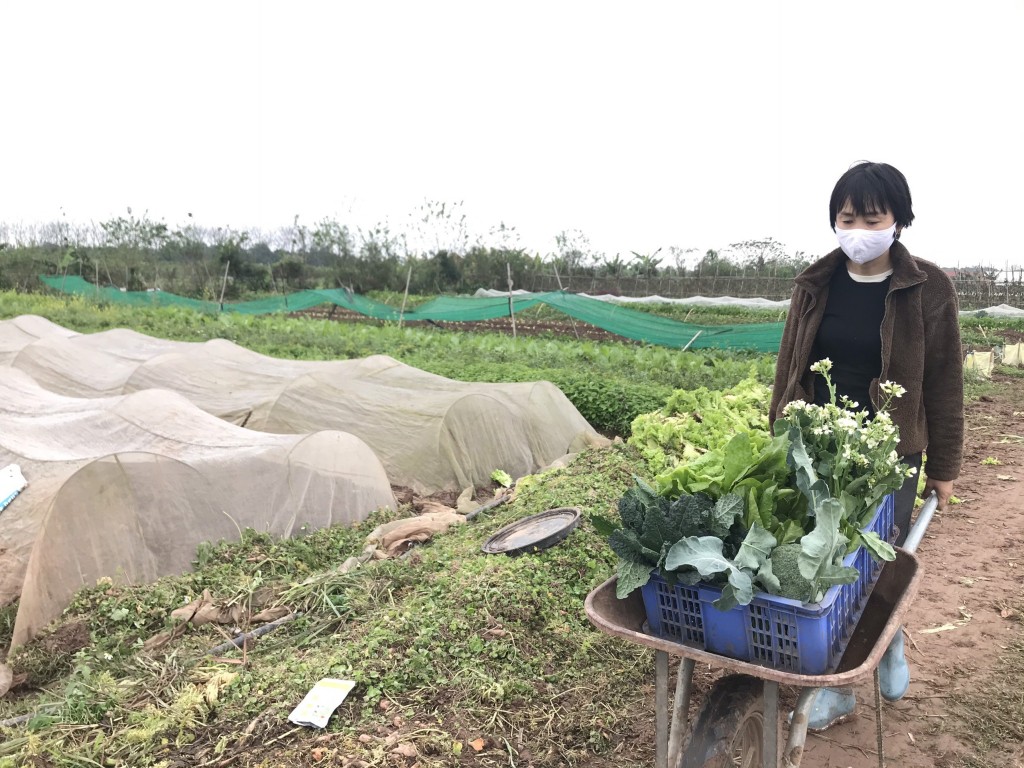 Chị Nguyễn Thị Duyên rời bỏ công việc ổn định để cùng chồng theo đuổi giấc mơ làm nông nghiệp sạch