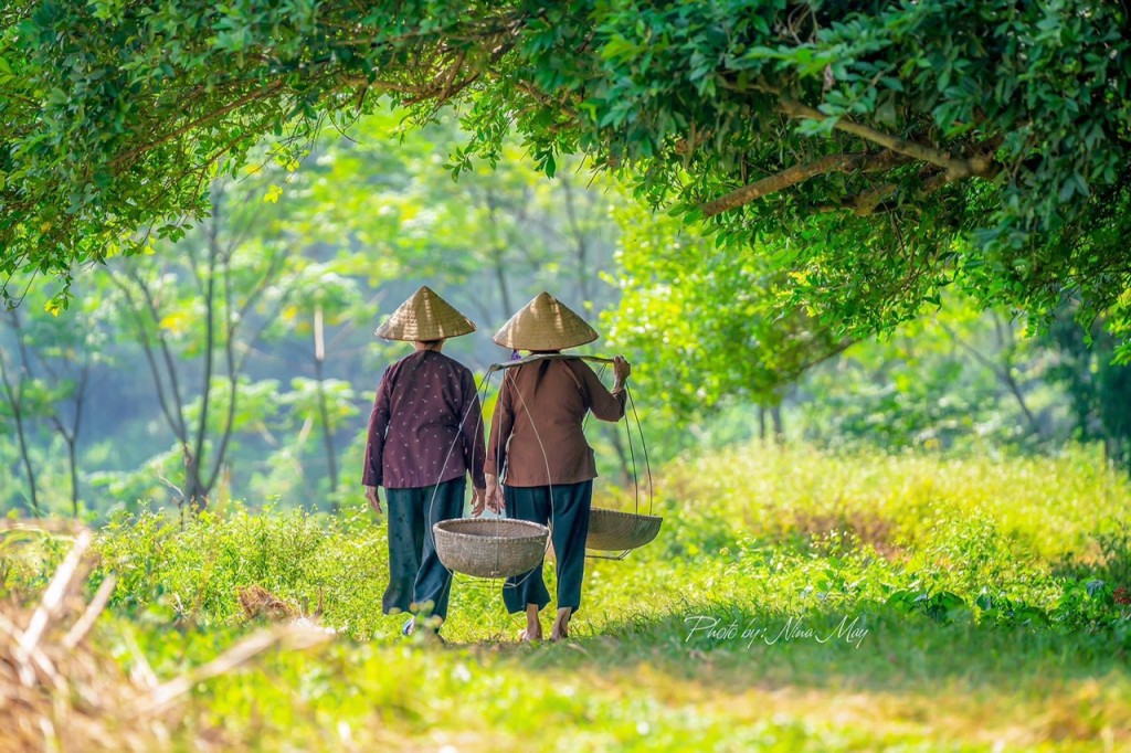 Làng cổ Đường Lâm  quê hương nhiều danh nhân như bà Man Thiện (mẹ của hai Bà Trưng), Bố Cái Đại vương Phùng Hưng, vua Ngô Quyền, Thám hoa Giang Văn Minh, bà chúa Mía (người xây chùa Mía, vương phi của chúa Trịnh Tráng),