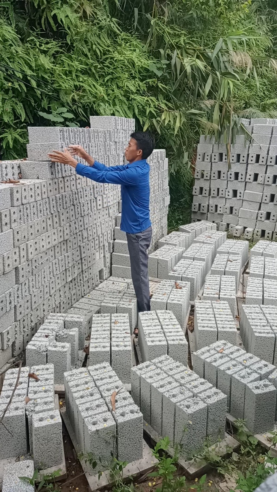 Nhờ sự hỗ trợ của huyện đoàn Tân Sơn (Phú Thọ), Kim Anh có thể mở rộng quy mô sản xuất