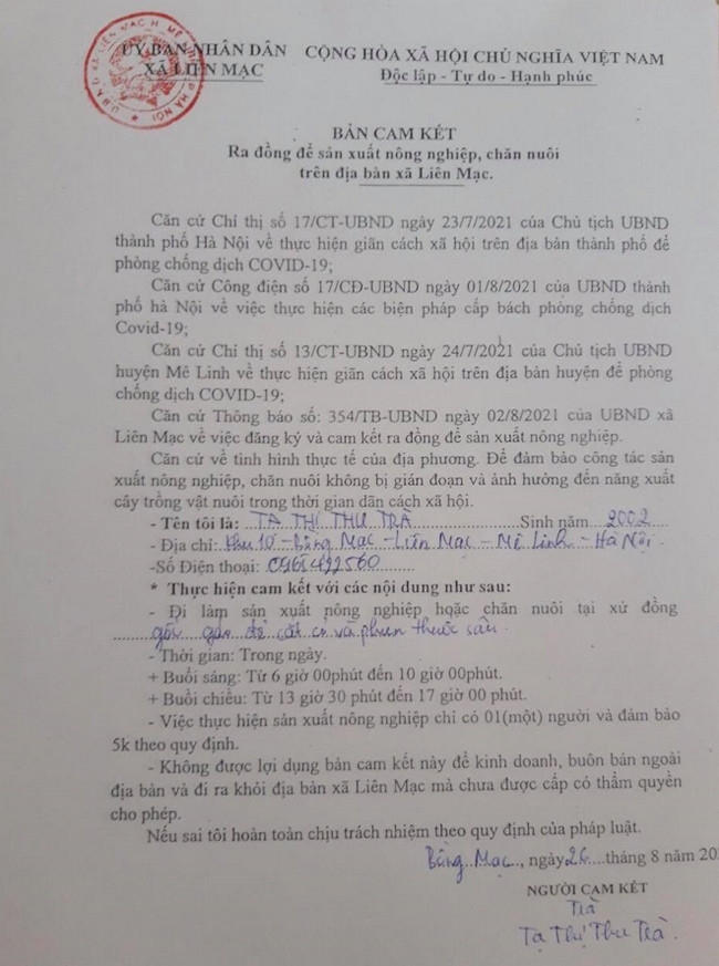 Mẫu giấy cam kết ra đồng để sản xuất nông nghiệp, chăn nuôi tại xã Liên Mạc