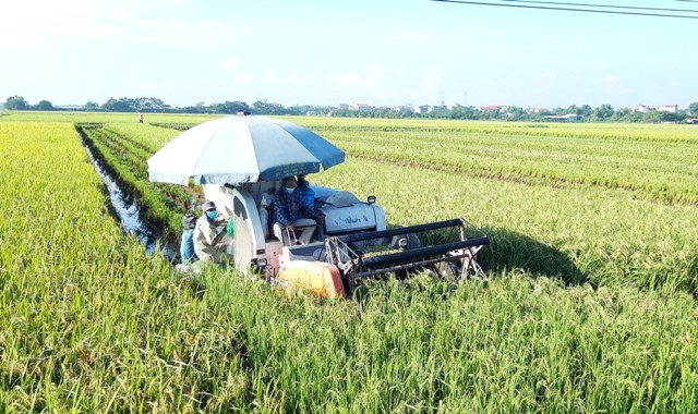 Sự hỗ trợ của các đơn vị, cá nhân đã giúp nông dân Thanh Oai bớt khó khăn